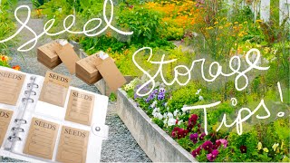 EASY SEED STORAGE/ORGANIZING TIPS 2023! BUDGET FRIENDLY 👩‍🌾🪴🫘🫛