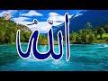 تمتع بأسماء الله الحسنى سكينة و راحة وشفاء مميزة جدا