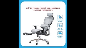 Ghế Văn Phòng Công Thái Học Châu Âu Cao Cấp TANNI Premium Pro 3, Ghế  Làm Việc Ergonomic Nhập khẩu