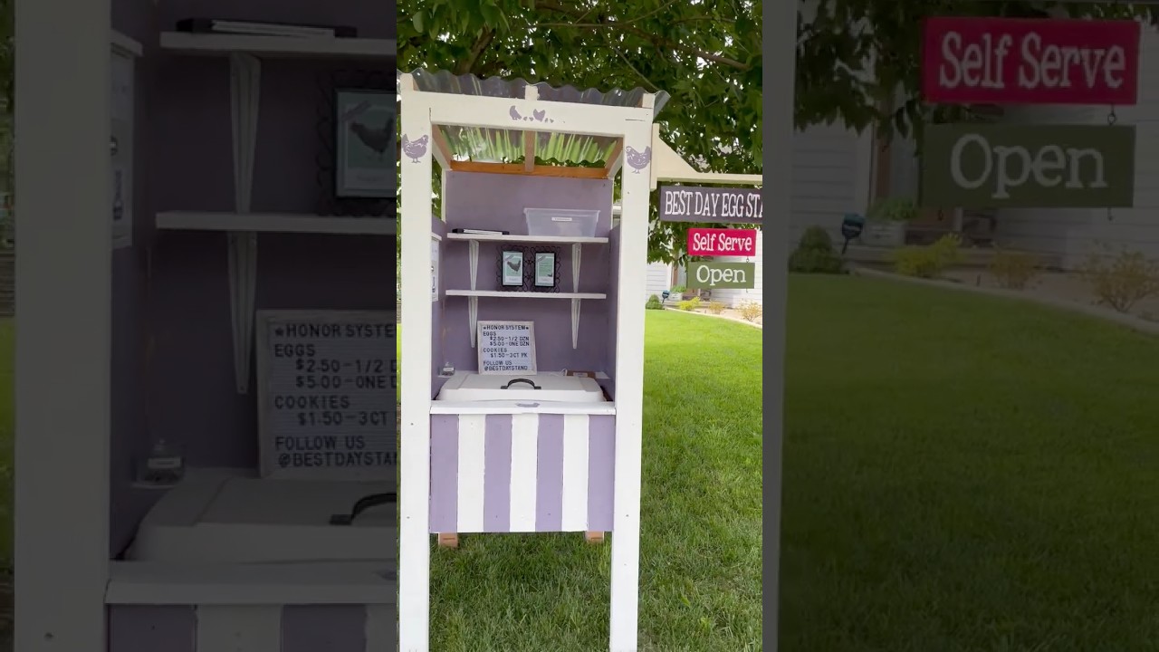 Come open the Best Day Egg Stand with me for the very first time!