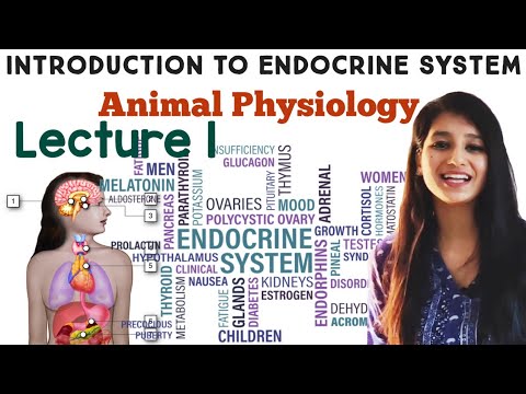 Endocrine System Lecture 1|Introduction to Endocrine System|Animal