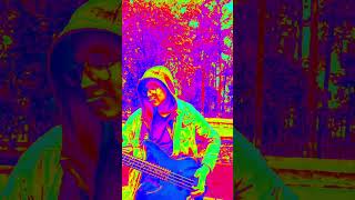 BASSIST #bass #bassplayer #music #bassist на #slap #funk #funny #LSD #guitar