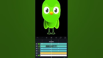 Duolingo Logo Reveal | Learn with Style!"