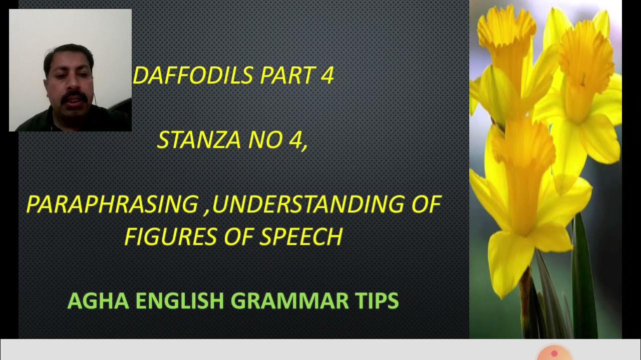 Daffodils part 4 stanza 4 9th classunit 5paraphrasing YouTube