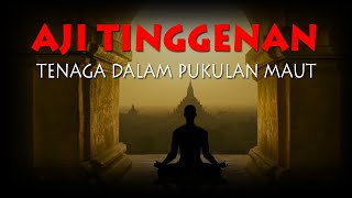 ILMU AJI TINGGENAN - TENAGA DALAM PUKULAN MAUT