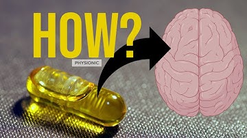 How Omega-3 Fish Oil affect your Brain Cells [Science Explained]