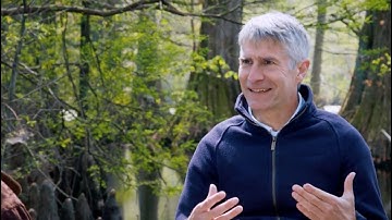 How Does Creation Inspire Human Engineering?