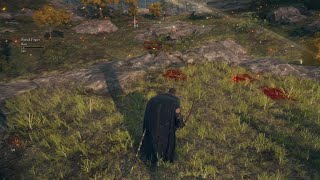 Elden Ring Dragon Maw Is Op In Pvp