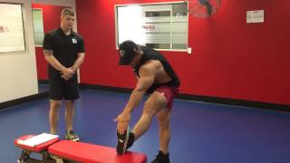 AIPT lower body stretches hamstring stretch