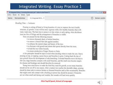 integrated essay