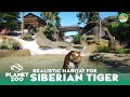 Realistic Siberian Tiger Habitat - Planet Zoo Speed Build - Sandbox Build