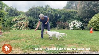 Torin  Recalls and a few other focus & relationship building games