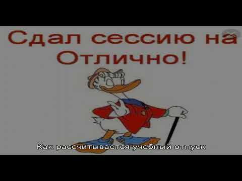 Как оформляется и оплачивается учебный отпуск