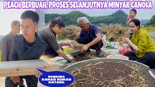 DINDING KAMAR PESANAN DATANG LANGSUNG DIANTAR KERUMAH DESA,BEGINILAH PROSES LANJUTAN MINYAK CANOLA