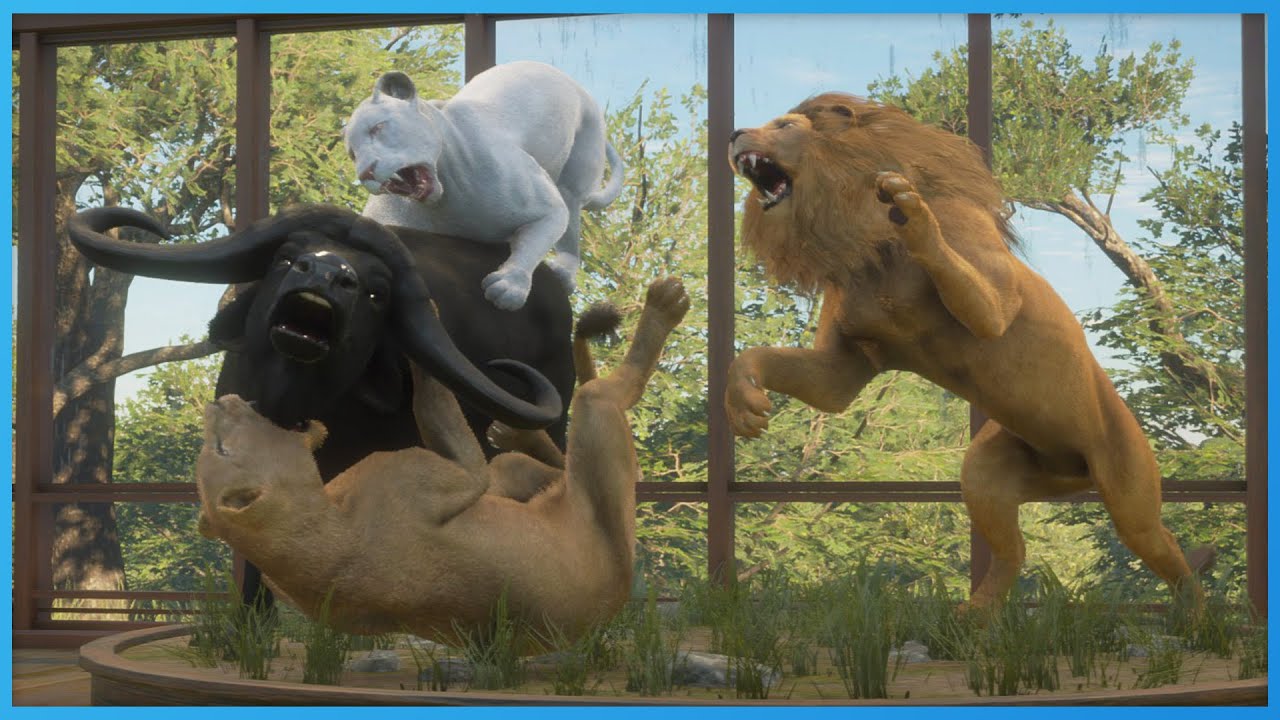 Finally An Albino Lion! theHunter Call Of The Wild YouTube