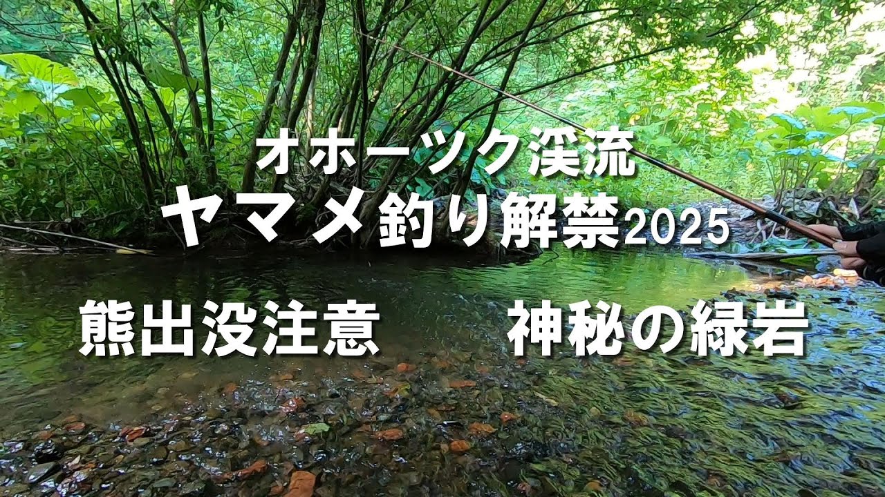 虹色　メタプラ　北海道　遠別　2025.5 採取 北海道ヤマメ釣り解禁2025/ 7/ 1 魚影が見える オホーツクの渓流 熊