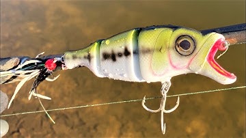 Open Mouth Bass SwimBait | Make & Fish