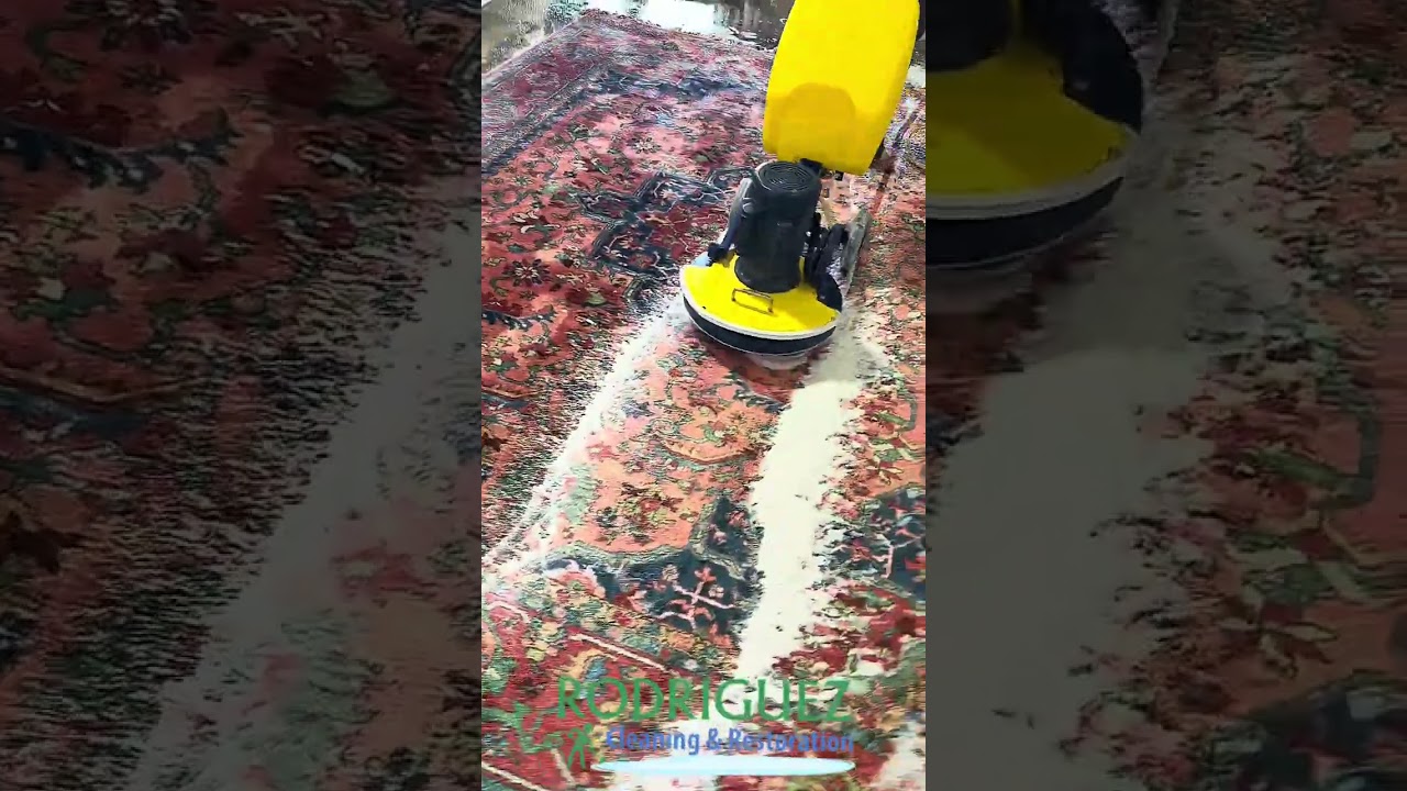 Professional Oriental Rug Cleaning Services in Louisville KY