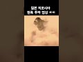 핵의 무서움을 절실히 알려준 영상 ㄷㄷㄷ 핵의 무서움을 절실히 알려준 영상 ㄷㄷㄷ