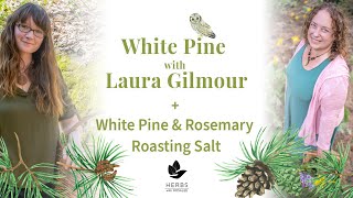 White Pine with Laura Gilmour + White Pine and Rosemary Roasting Salt