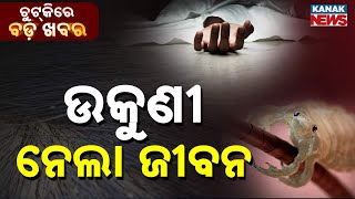 Chutkire Bada Khabar || 9th February 2026 || 10AM Digital Bulletin || Kanak News screenshot 1