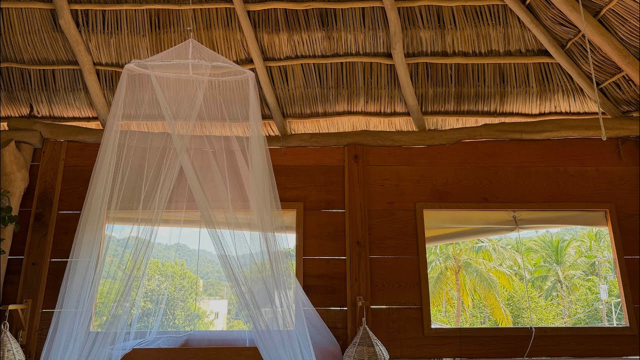 a solo trip to nayarit