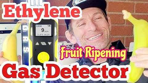 Ethylene Gas Detector (for Fruit Produce Ripening)