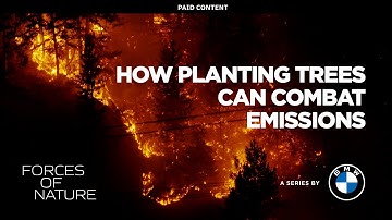 Emissions Reduction with FlashForest | Paid Content with BMW