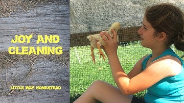 Quick and easy chicken brooder clean-up!