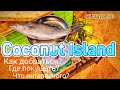 Coconut Island – деревня, где поесть, как добраться