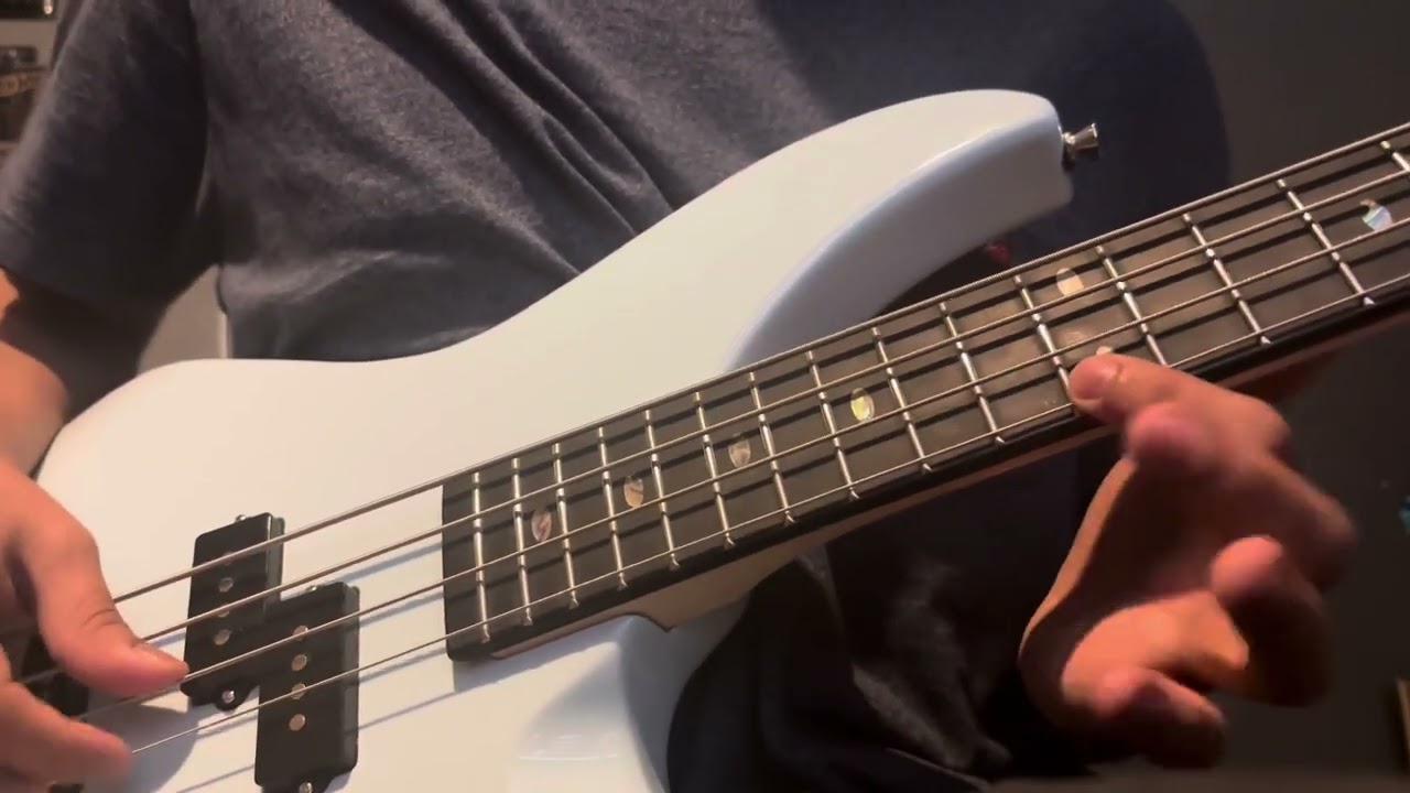 Zutomayo Warmthaholic short cover (bass)