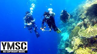 Our Dive By Weero U0026 Mitte  No Copyright Vlog   Ymsc  You 