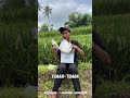 Yang mau tanaman padinya jadi lebih sehat panen meningkat!!#padi#petanipadi#petanimuda#pertanian