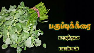 பருப்புக்கீரை மருத்துவ பயன்கள் | Paruppu keerai Health Benefits in Tamil | Healthy lifestyle tamil