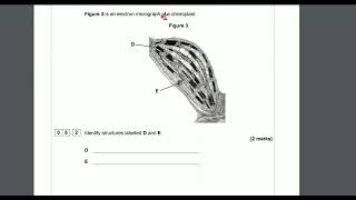 Organelles And Cell Fractionation A-Level Biology Question