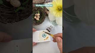 Tiny #bird #egg #nest! Robin’s eggs in #watercolor and ink. My tiny #naturejournal ! #youtubeart