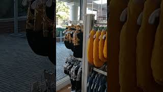 Fluffy s Pet Shop European in The World Charlottesville Virginia Latinos Por el Mundo
