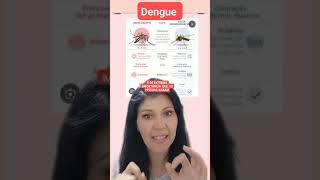 Dengue Epidemia no Brasil 😔