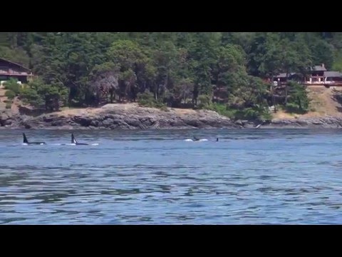 Road Trip USA: Exploring San Juan Islands, Washington