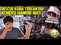 RESCUE KURA-KURA TERLANTAR DI PASAR IKAN! KONDISI HAMPIR MATI! SEDIH LIHATNYA!