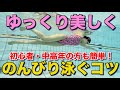 【永久保存版】中高年・初心者のための「美クロール」完全講座
