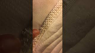 Why Bed Bugs Keep Coming Back After Spraying