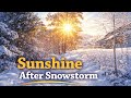 Morning After the Storm: Gentle Winter Ambience #vlog #snowstorm #polarvortex #arcticblast #viral