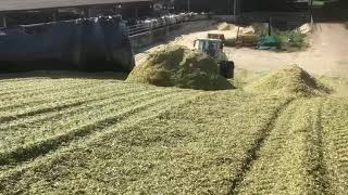 Claas Torion 1511 Clamping