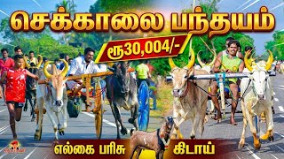 ஸ்ரீ செல்வ கணபதி, ஸ்ரீ பாலமுருகன் திருவிழாவை முன்னிட்டு நடத்தப்படும் பந்தயம் 17/09/26  screenshot 3