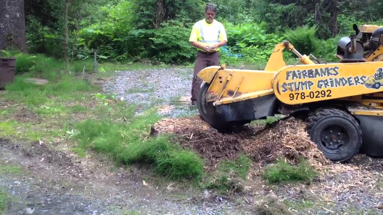 Stumpgrinder with a large Fir stump in Valdez AK By Fairbanks Stump ...
