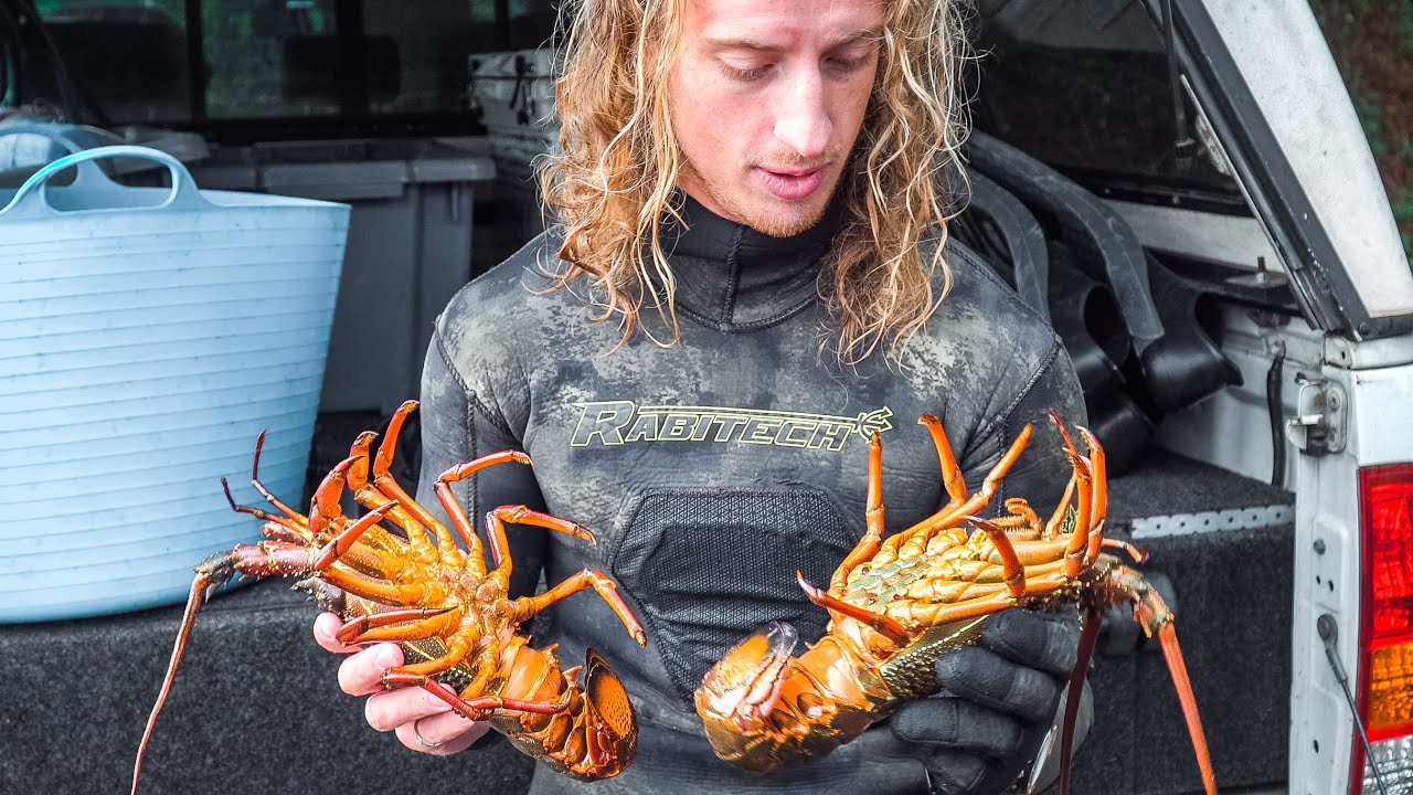 LOBSTER DIVING How To Catch Crayfish YouTube