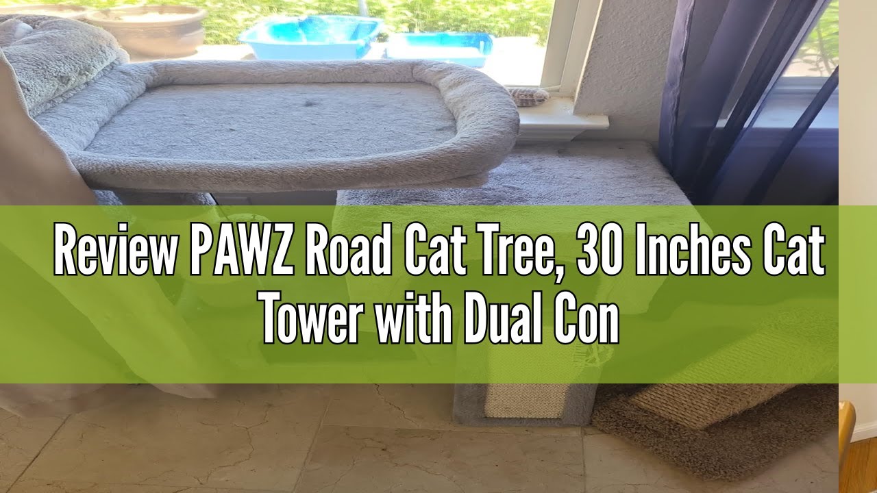 Review PAWZ Road Cat Tree, 30 Inches Cat Tower with Dual Condos for
