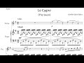 The Swan by Camille Saint-Saëns | Piano Accompaniment ONLY 🎹| (Bryan Verhoye, pianist)