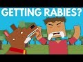 What Happens When You Get Rabies? - Dear Blocko #2